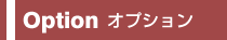 オプションシステム