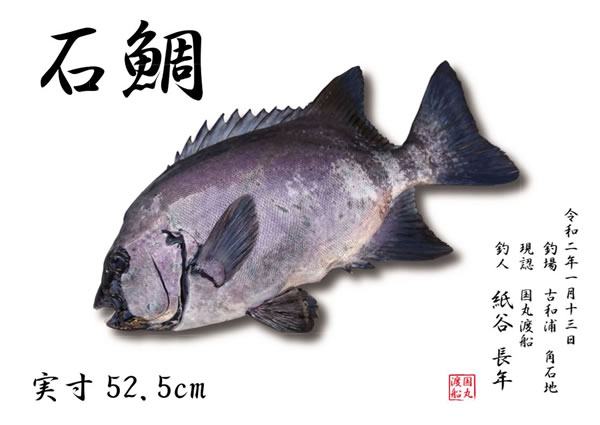 パンフレット作成